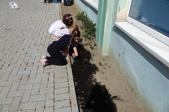 dwie dziewczynki wysypują ziemię do ogródka