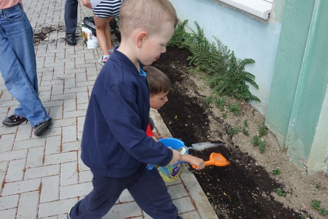 chłopiec trzyma w ręku łopatkę pomarańczową, drugi chłopiec przyklepuje łopatka ziemię, przed nim stoi małe niebieskie wiaderko