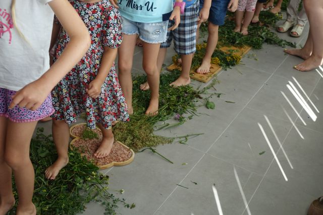 dzieci chodzą po ścieżce sensorycznej ułożonej z kamieni, roślin, piasku i innych materiałów