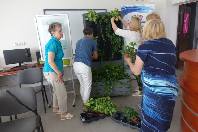 seniorki układają rośliny na przygotowanym stojaku