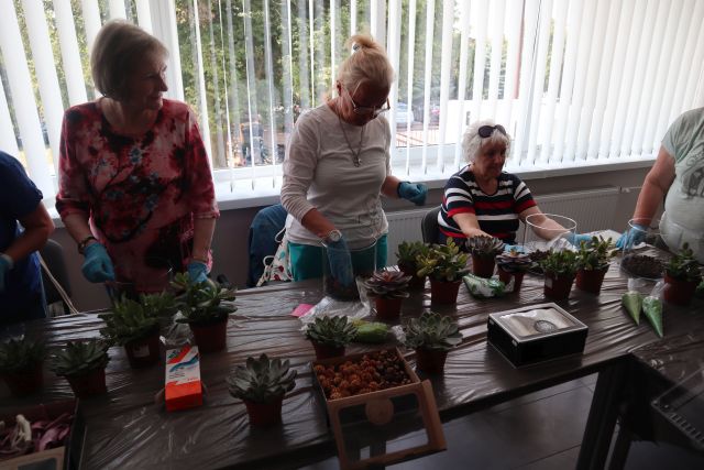 seniorki tworzą ogródki w słoikach