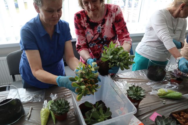 seniorki trzymają w dłoniach rośliny w doniczkach