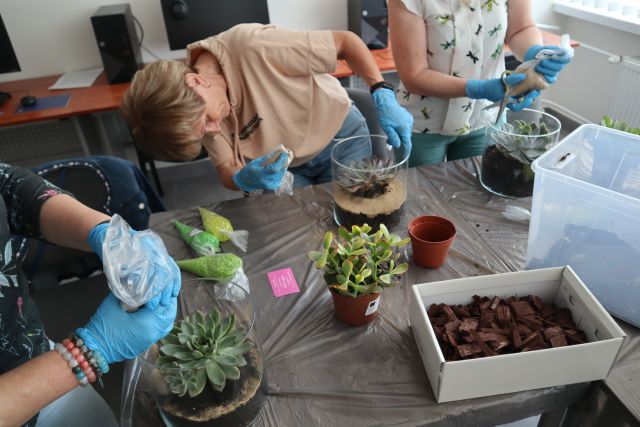 seniorki wkładają rośliny do słoików