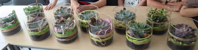 ogrody w słojach stworzone przez seniorki