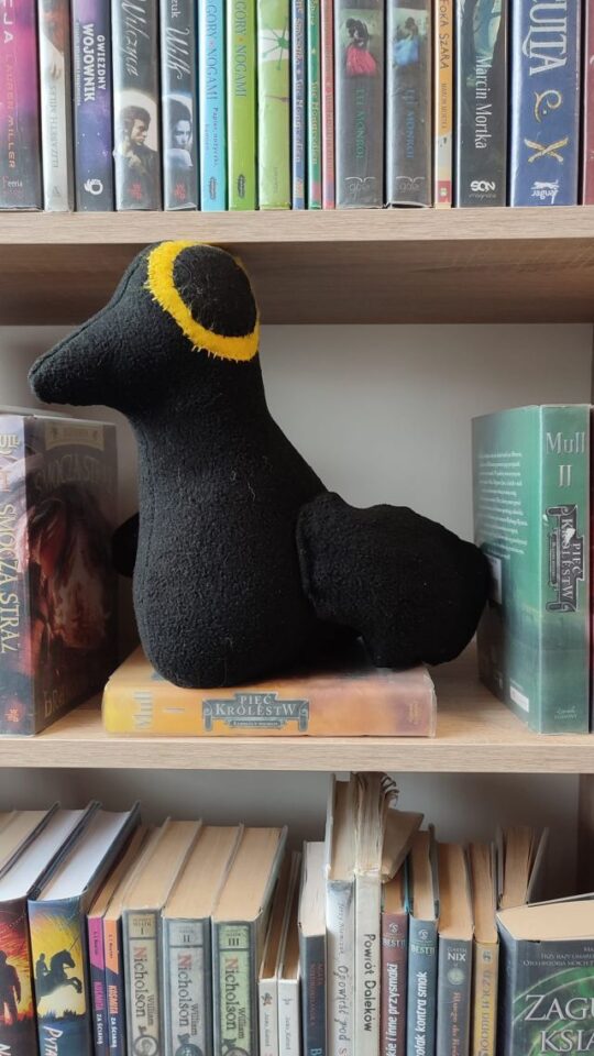 czarny kruk na regale pomiędzy książkami