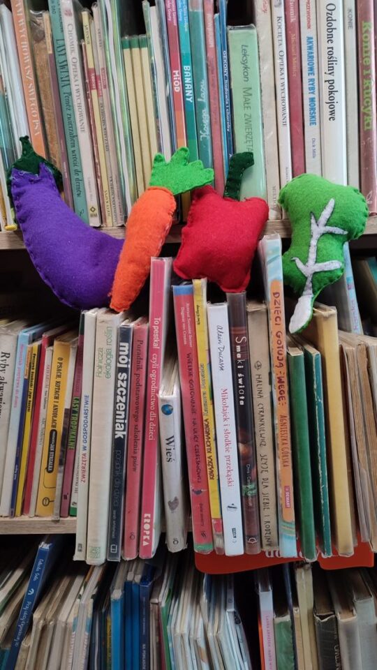 uszyte z materiałów warzywa ułożone na książkach