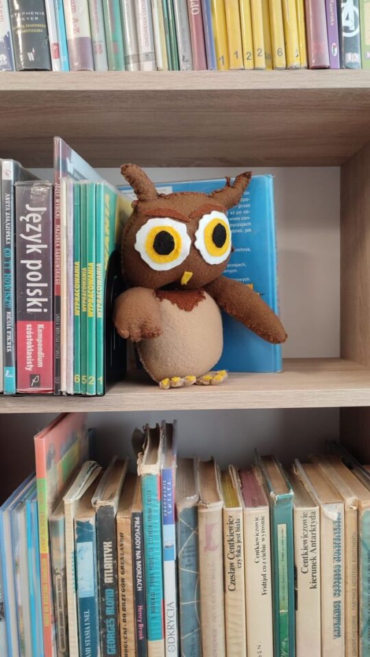 maskotka sowy na półce z książkami