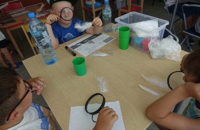 dzieci przez lupę oglądają pióra