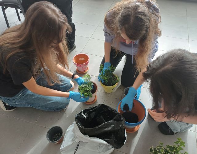 młodzież sadzi kwiatki w doniczkach