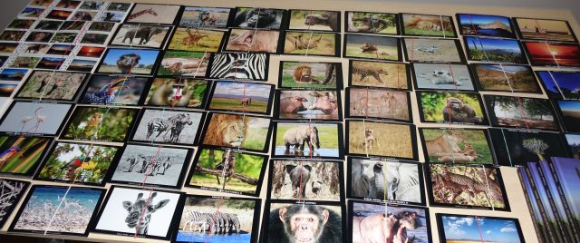 wystawa pocztówek z Afryki