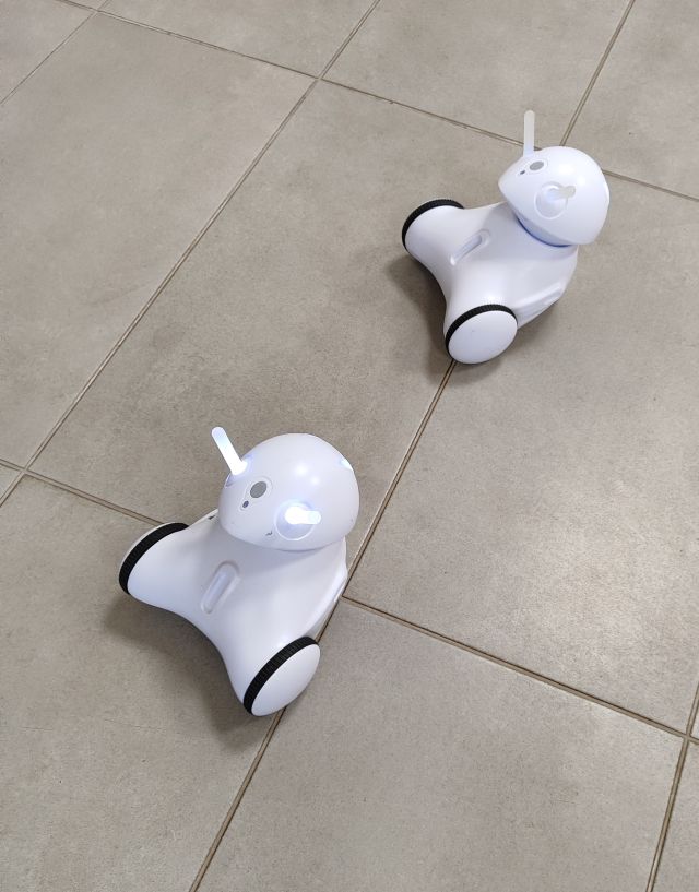 dwa roboty Photn ze świecącymi czułkami