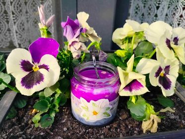 świeca sojowa wykonana przez uczestniczkę warsztatów w towarzystwie bratków