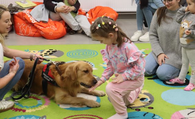 dziewczynka daje psu smakołyka