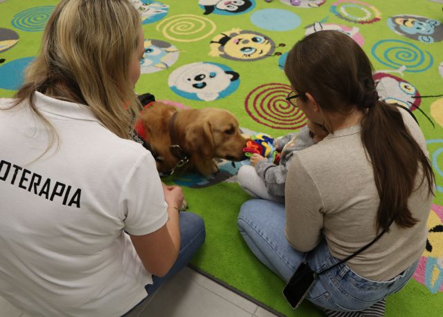 pies zjada smakołyki z piłki, obok siedzi dziewczynka i opiekunka psa