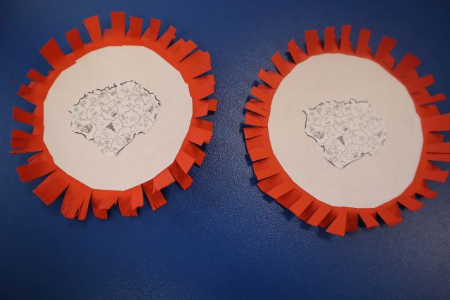 kotyliony wykonane przez dzieci