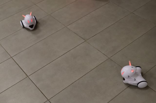 dwa roboty Photon na podłodze