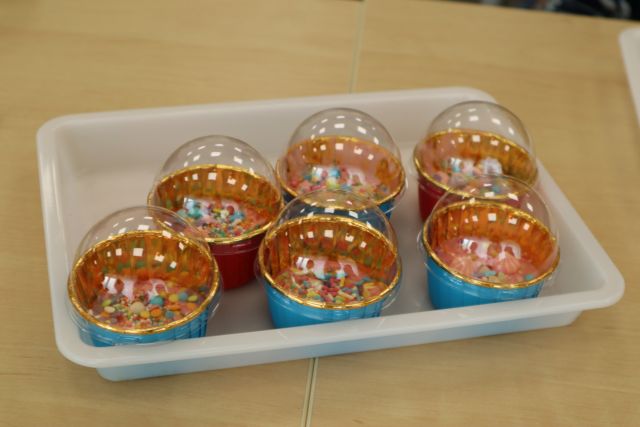 Na zdjęciu znajduje się plastikowe pudełeczko z sześcioma okrągłymi pojemniczkami z lodami.