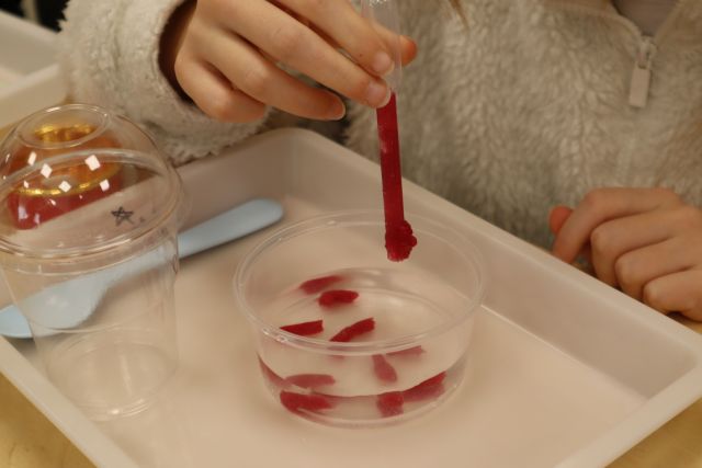 Na zdjęciu znajduje sie plastikowa podkładka z łyżeczką i małym plastikowym kubeczkiem oraz okrągły pojemnik z wodą, do którego dziewczynka wkrapla czerwone kuleczki pipetą.