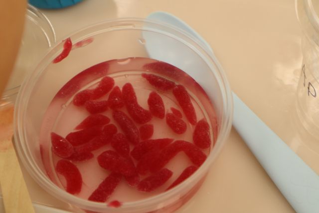 Na zdjęciu znajduje się okrągły pojemniczek z wodą, w którym znajdują się czerwone żelki. Pojemnik stoi na stoliku, a obok niego leży plastikowa łyżeczka.