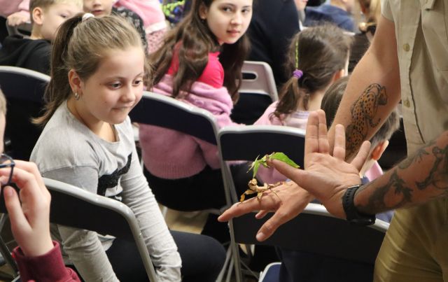 Na zdjęciu znajduje się ręka mężczyzny, na której trzyma liśćca i straszyka i pokazuje je dzieciom.