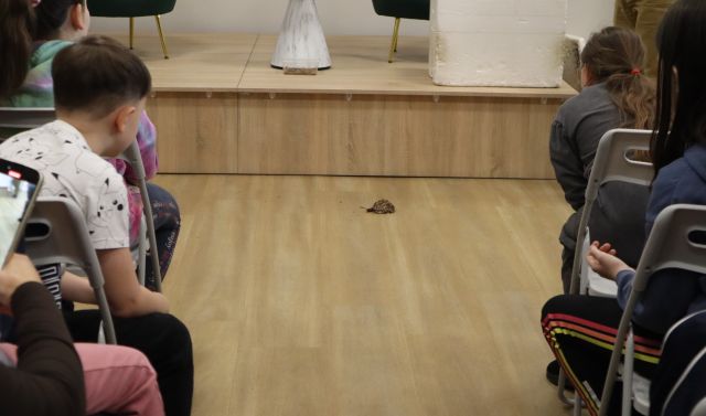 dzieci siedzące na krzesłach patrzą na dużą brązową żabę siedzącą na podłodze